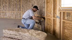 Best Basement Insulation  in Elgin, IL