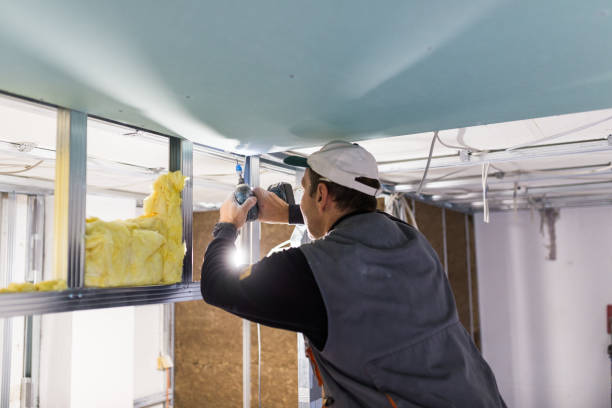 Types of Insulation We Offer in Elgin, IL