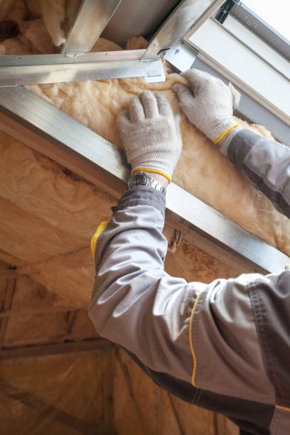 Best Weatherproofing Services  in Elgin, IL