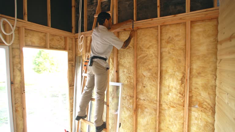 Best Spray Foam Insulation  in Elgin, IL