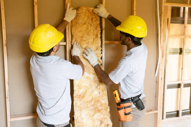 Best Attic Insulation Installation  in Elgin, IL