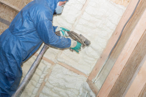 Best Thermal Imaging for Insulation Gaps  in Elgin, IL